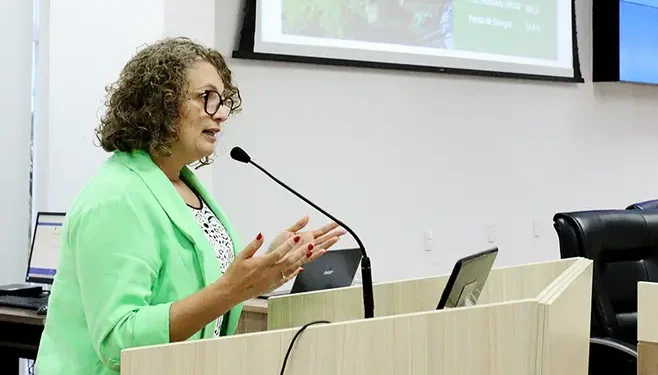 Representantes da Enel retornam ao Legislativo para esclarecimentos