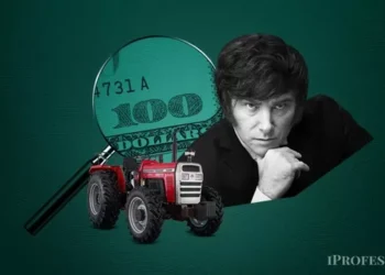 Con el actual precio del dólar, Milei da un mensaje para que el área saque la soja de los silobolsas?