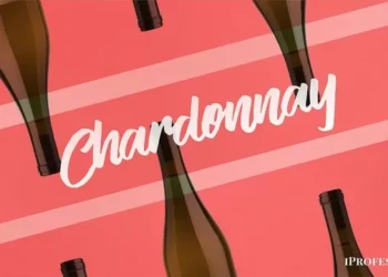 El ABC del Chardonnay y 25 vinos de diferentes terruños que debés fundamentarse