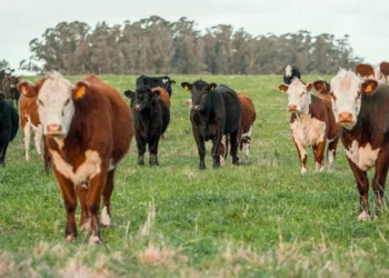 “La Economía ante retos globales: pasado y presente”