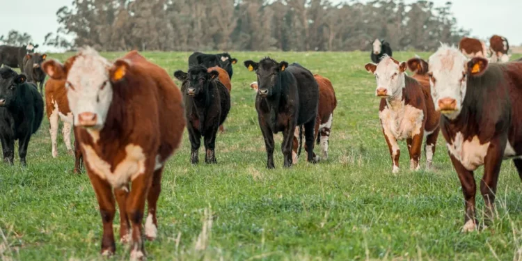 “La Economía ante retos globales: pasado y presente”