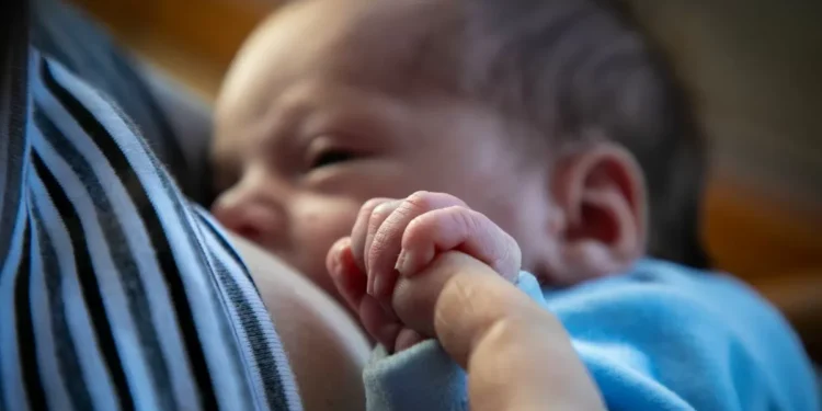 10 claves de la nutrición en la primera infancia