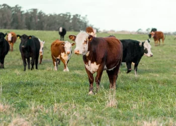 “Descubre cómo la Economía puede mejorar tu vida”