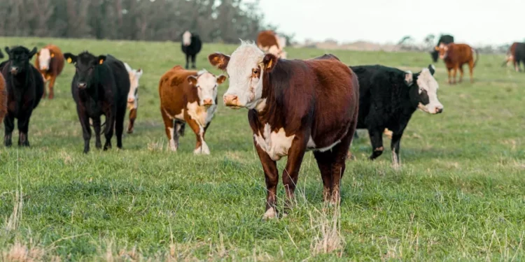 “Descubre cómo la Economía puede mejorar tu vida”