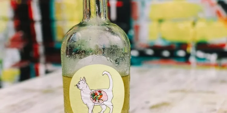 “La importancia de una buena salud para una vida plena”