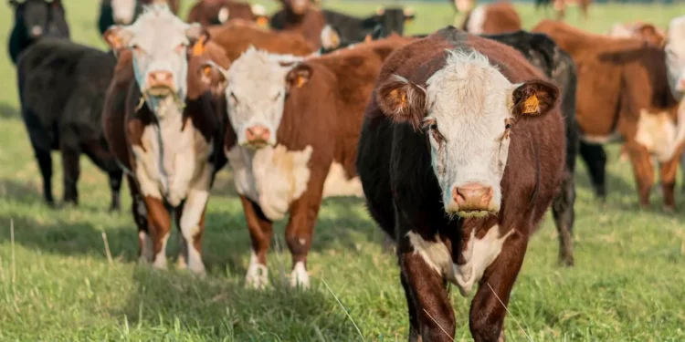 “El poder de la economía en la sociedad moderna”