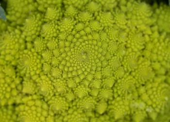 “El valor de la salud: una inversión imprescindible”