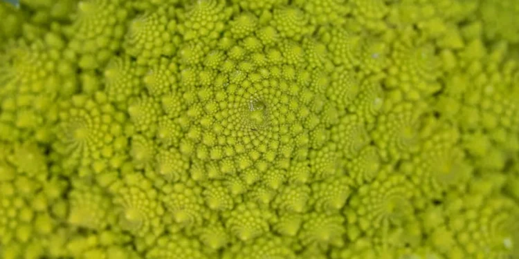 “El valor de la salud: una inversión imprescindible”