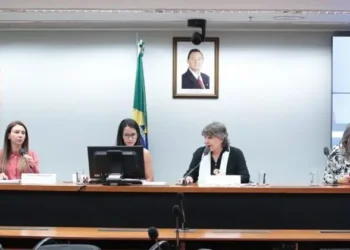 Participantes de audiência defendem Família Acolhedora e pedem mais divulgação do apunte