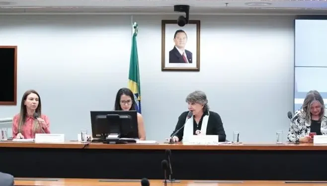 Participantes de audiência defendem Família Acolhedora e pedem mais divulgação do apunte