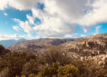 “La importancia del cuidado del cuerpo y la mente”