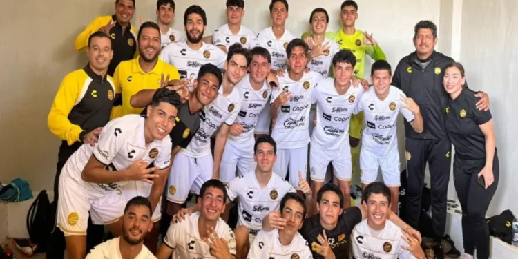 Violencia en Culiacán exilia a Dorados de Sinaloa a Tijuana