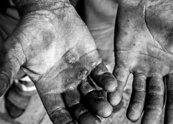 Executivo capacidadá criar medidas de acolhimento para vítimas de trabalho análogo a escravidão