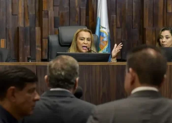 Programa de guarda subsidiada pode ser criado mp Estado do Rio