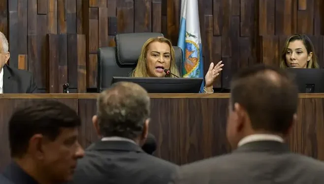 Programa de guarda subsidiada pode ser criado mp Estado do Rio