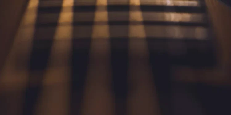 “La Música: un lenguaje universal que nos conecta”