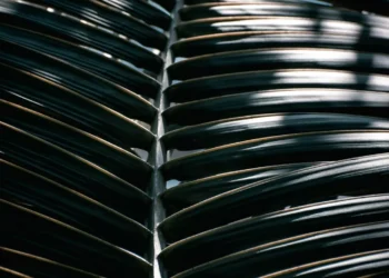 “Cuida tu bienestar para vivir al máximo”