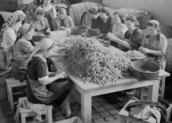 “La Economía: Motor del progreso y bienestar social”