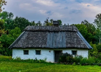“: la ciencia detrás de nuestras decisiones financieras”