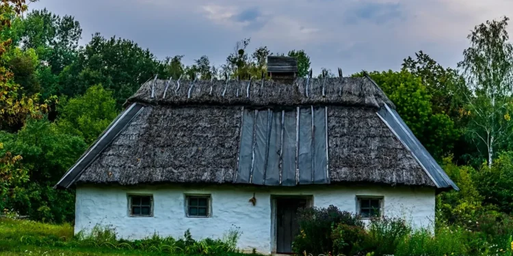“: la ciencia detrás de nuestras decisiones financieras”