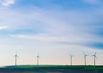 “El poder del cuidado ambiental en la sociedad actual”