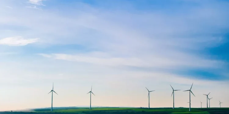 “El poder del cuidado ambiental en la sociedad actual”