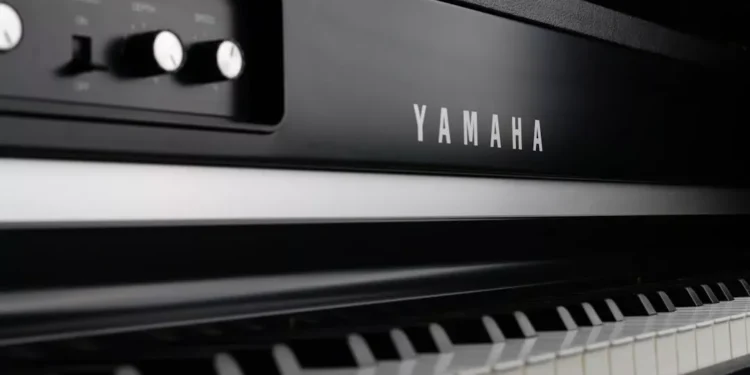 “El poder de la música: expresión, conexión y recuerdos”