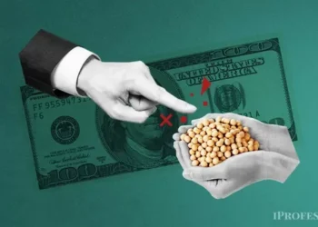 Un problema del modelo de Javier Milei es que sobran dólares, no obstante el agro no consigue crédito