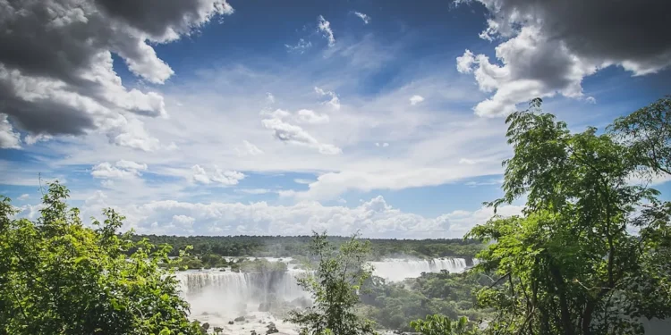 “Experiencias positivas en la protección del medio ambiente”