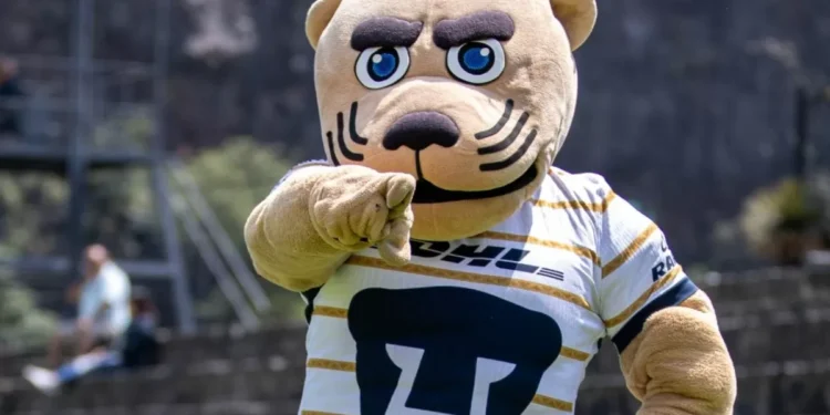 Pumas lanza convocatoria para diseñar a “Goya”, la anuncio botarga femenil del club