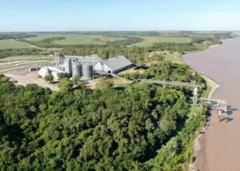 Dreyfus compró un acopio de cereales en Entre Ríos y expande su público agroexportadora