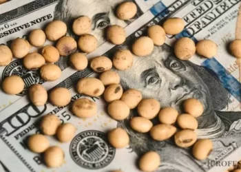 Paradoja de Milei post celda: si sigue bajando el dólar, ¿el campo “encanutará” la cosecha?