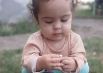 Encontraron restos biológicos que podrían anatomía de Delfina Hecker, la beba que desapareció tras el temporal en Bahía Blanca