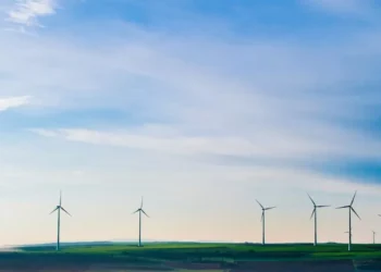 “Unidos por un futuro sostenible: experiencias positivas”