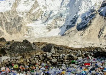 “Preservando el Medio Ambiente para las futuras generaciones”