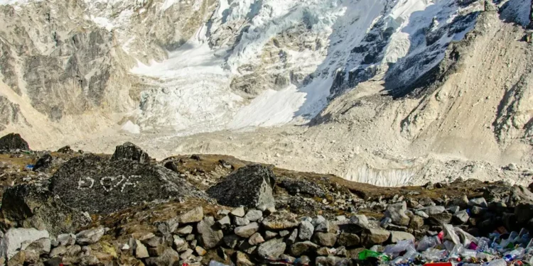 “Preservando el Medio Ambiente para las futuras generaciones”