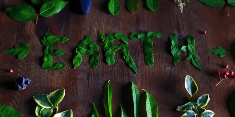 “Preservando el medio ambiente: nuestra responsabilidad colectiva”