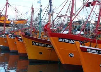 Por qué crecen las exportaciones desde el puerto de Mar del Plata