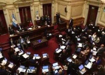 El Senado rechazó el proyecto de ley de Ficha Limpia por un opinión