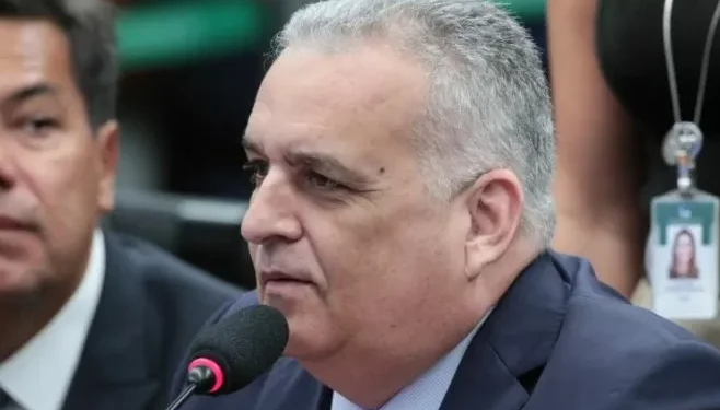 Comissão de Constituição e Justiça aprova proibição de captura de tubarões e arraias para remoção de barbatanas