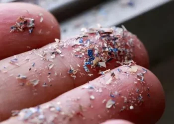 Expertos advierten que el cerebro contiene valla de “pincho cucharada” de microplásticos y que podría vincularse con la depresión y la demencia