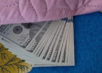 Dólares bajo el colchón: “¿Es un plan para narcos?”