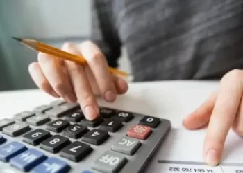 Puja por el IVA: contribuyentes, consumidores, Estado