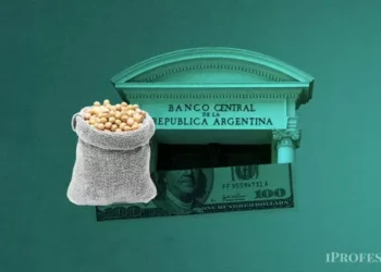 El campo aportó u$s3.000 millones en mayo empero el dólar volvió a rebotar y las reservas del BCRA no mejoran