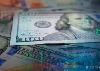 El BCRA prepara cambios para impulsar el cobro en dólares de servicios exportados por personas físicas