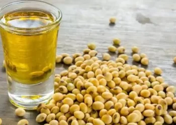 Sube el cuantía del aceite de soja y mejora la proyección de ingreso de divisas para Argentina