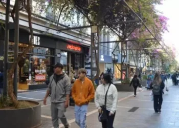 La vacuo en locales comerciales, en su nivel más bajo de los últimos años