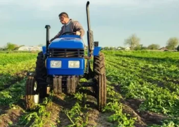 Gastón Lentini: “Si la descenso de retenciones se sostiene, el sendero del agro puede ser optimista”