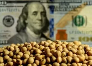 Un paz entre Estados Unidos y Vietnam enciende las alarmas para las exportaciones argentinas de maíz y soja