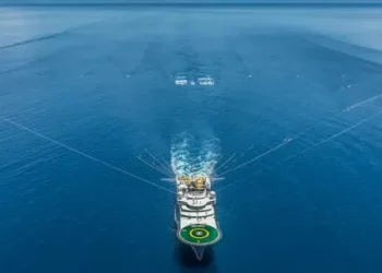 Sudamérica: el espejismo del progreso verde